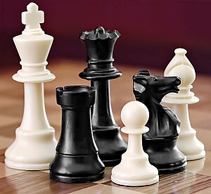 Some chess pieces: (from left to right) a white king, a black rook, a black queen, a white pawn, a black knight, and a white bishop