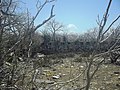 Chicxulub Puerto, Yucatán.