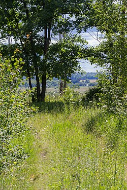 Landscape in Chuchkovsky District