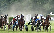 Courses de chevaux à l'hippodrome.