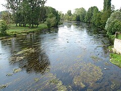 La rivière Creuse en direction de Tournon-Saint-Pierre en 2011.