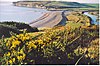 Seaford Head