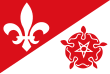 Vlag van Dongjum