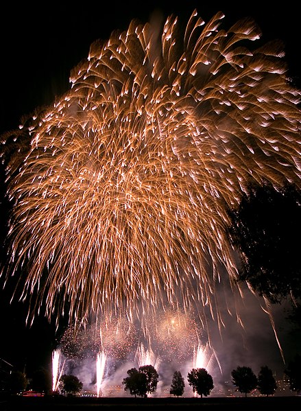 Datei:Duesseldorf Firework 2007.jpg