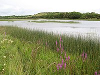 Durnesh Lough