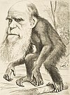 1871 caricature of Charles Darwin as an ape Editorial cartoon depicting Charles Darwin as an ape (1871).jpg