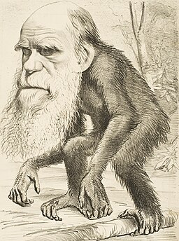 Caricature of Charles Darwin