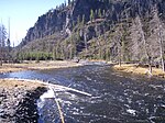 Firehole River As It Enters National Park Meadow