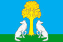 Flag of Inzhavinsky District