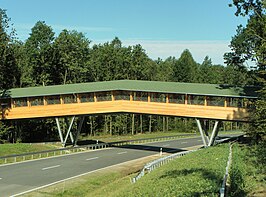 Fiets- en Voetgangersbrug over de B98 bij Bischofswerda