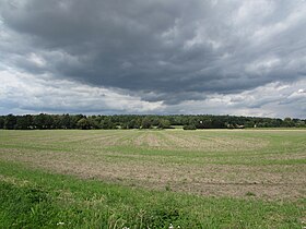 Horizonte de Beetzsee