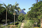 הגן הבוטני של ריו דה ז'ניירו