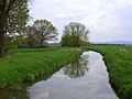 Kotitzer Wasser (bei Buchwalde)