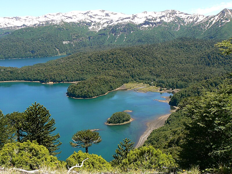 Archivo:Looking out over Lago Conguillio.jpg