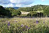 Annadel State Park