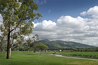A view of Mission Peak from Fremont Central Park