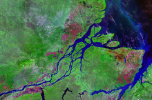 The mouth of the Amazon River Mouths of amazon geocover 1990.png