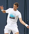 Daniel Nestor smíšená čtyřhra