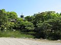 仁和寺庭園（京都市右京区御室）