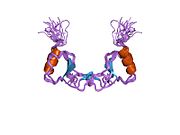 1don​: Rešenje strukture monocit hemoatraktant protein-1 dimera, NMR, 20 struktura