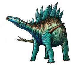 A long-necked dinosaur standing on four legs. The back has numerous bony plates extending upward.