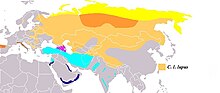 Eurasian wolf range