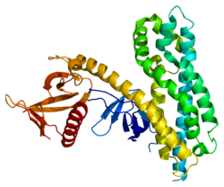 Protein ARHGEF4 PDB 2dx1.png