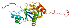 Protein PTP4A3 PDB 1r6h.png