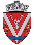 Wappen von Sarasău