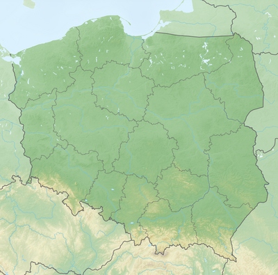 Kortpositioner Polen