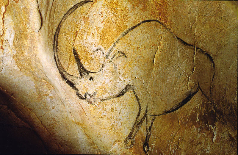 Woolly rhino cave painting in Chauvet