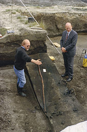 Excavation of the Schoningen spears Schoningen Speer VI (c) P. Pfarr NLD.jpg