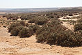 Landschaft in Tabaghbagh