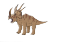 Stellasaurus