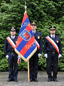 City Guard of Szczecin, Poland Sztandar SM Szczecina.jpg