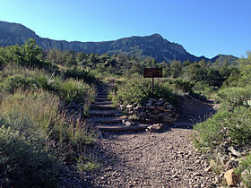 Trail junction and Emory Peak.JPG