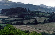 Vaqueyras-vitejoj, Provenco 1993.jpg