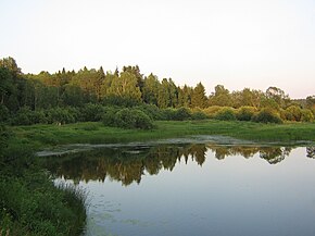 Река Тёбза, Буйский район