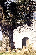 Miniatura para Ermita de San Roque (Vallanca)