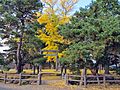 2012年11月18日 (日) 07:54時点における版のサムネイル