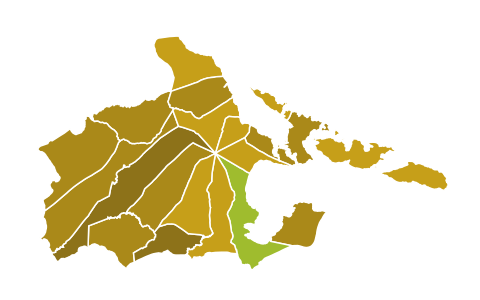 Results of 2019 Albay Vice Gubernatorial Elections by Municipality