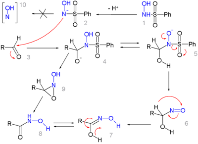 The mechanism of the Angeli-Rimini reaction