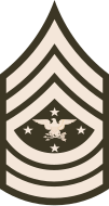 E-9 Senior Enlisted Advisor to the Chairman (SEAC)