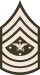 USA SEAC (Army greens).svg