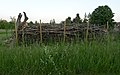 A dead hedge in a private wildlife garden (in Illingen, Saarland, Germany).