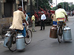 Milk churns being carried on bicycles, Kolkata...