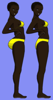 A remake of a drawing used to research perceptions of the most attractive size of posterior and breasts for white and black women BlackWomanButtSizeAttractionExperimentDiagram.png