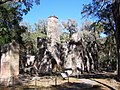 Bulow Plantation Sugar Mill Ruins