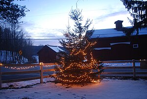 English: Christmas lights illuminate a tree an...