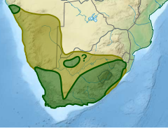 Karte des südlichen Afrika mit grün und gelb eingezeichneter Verbreitung der Kapweihe